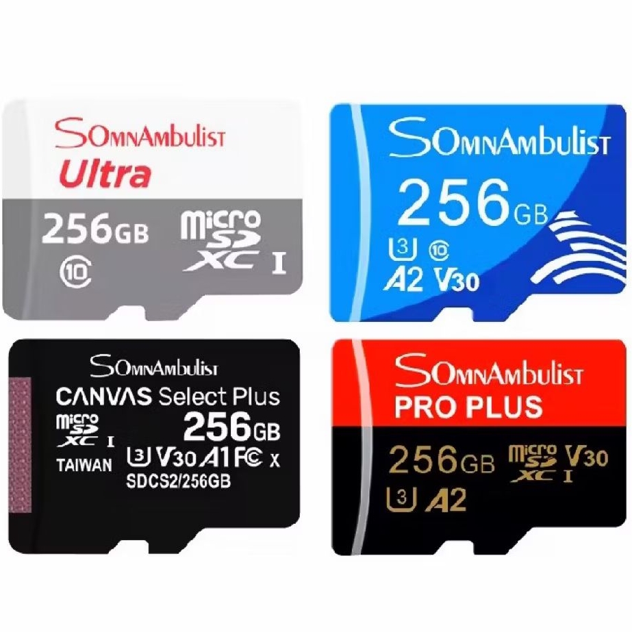 256GB คุณภาพสูง MEMORY CARD V30 สําหรับ MICRO SD CARD REVIEW CAMERA 256GB