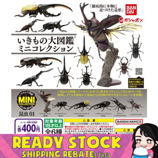 [Bandai] ฟิกเกอร์ Ikimono Daizukan ขนาดเล็ก 1 ฟิกเกอร์