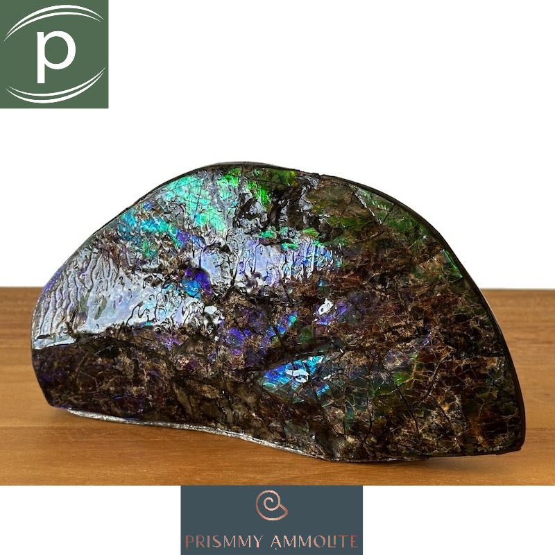 Prismmy Ammolite: พลอย Canadian Ammolite ตกแต่ง 210x115x20 มม. 彩石