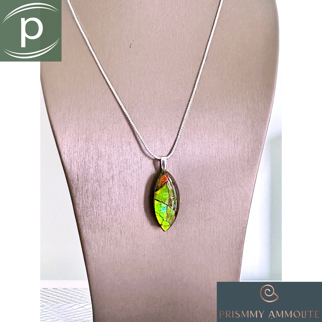 Prismmy Ammolite: สร้อยคอ Canadian Ammolite เงินแท้ 925 จี้ Bail ด้านบน 31x14x6