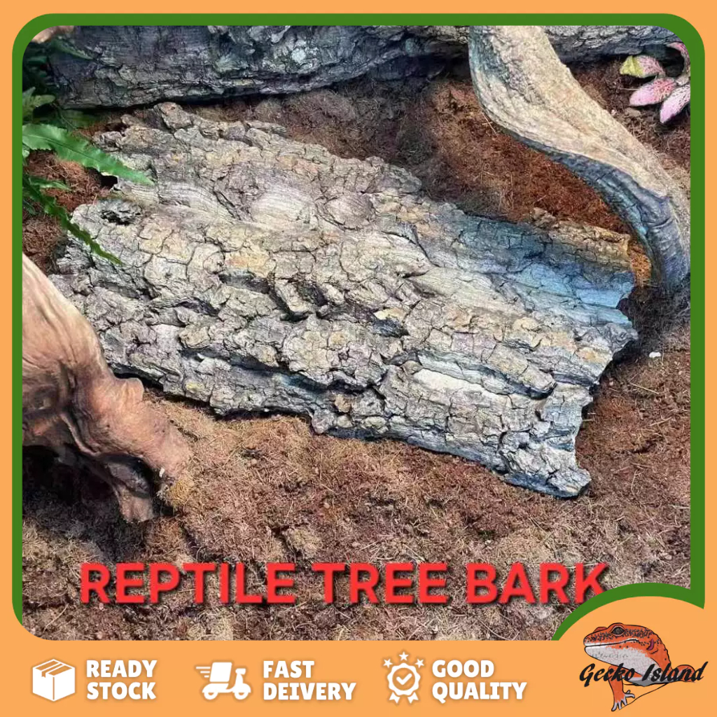 สัตว์เลื้อยคลาน Bark ผ้าปูที่นอนธรรมชาติ Cork Habitat ต้นไม้ Bark Spider ไม้ตกแต่ง 爬服皮装饰垫