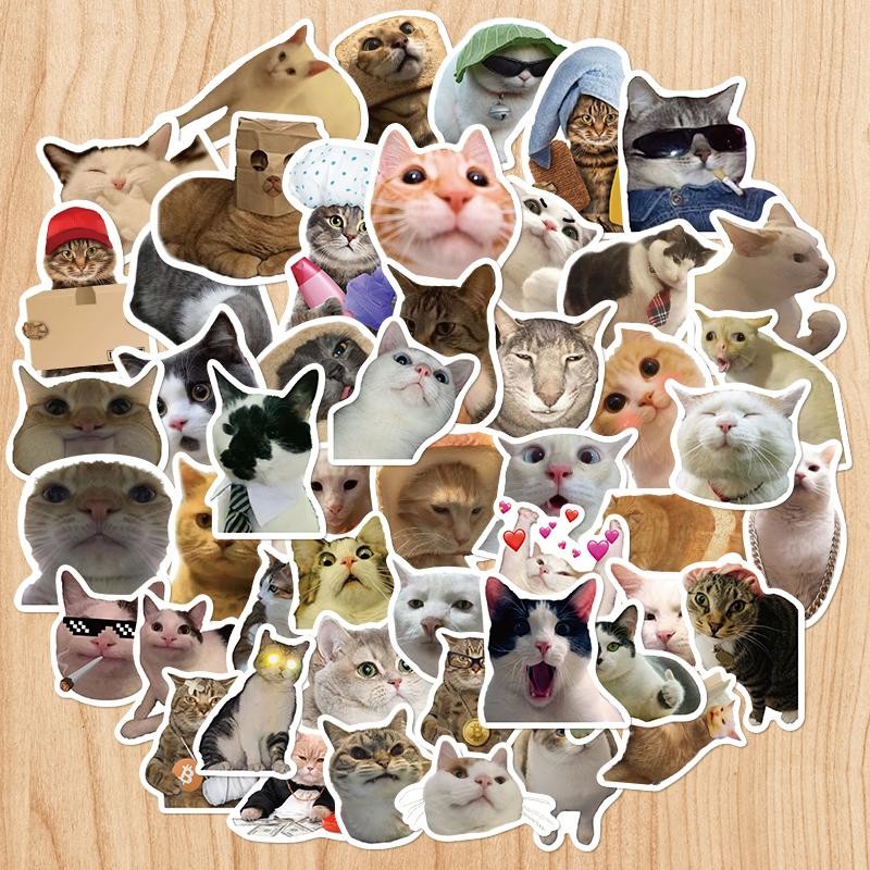 50 ชิ้น Funny Cat & Dog Meme สติ๊กเกอร์กันน้ํา