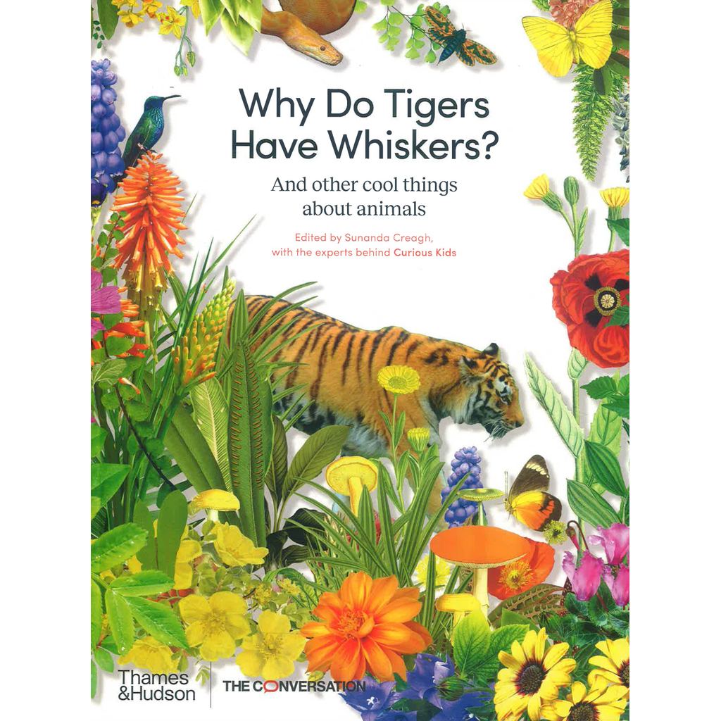 (BX) WHY DO TIGERS HAVE WHISKERS?