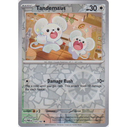 Tandemaus 153/282_ประเภทปกติ_Pokemon Paradox Rift Singles