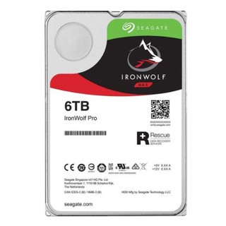 Seagate Ironwolf Pro Nas HDD 6TB แคช SATA-III 3.5 นิ้ว 7200rpm 256MB (ST6000NT001)