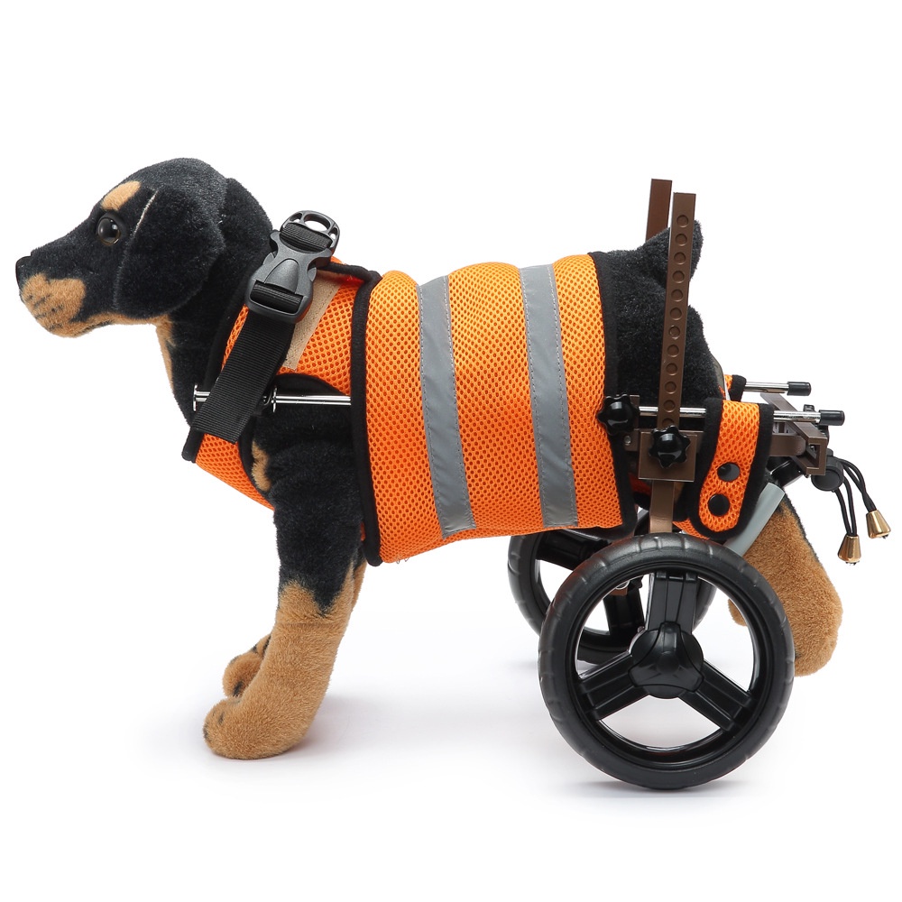 [Dog Wheelchair] ขาหลัง สําหรับสัตว์เลี้ยง สุนัข สกูตเตอร์ เดินเล่น