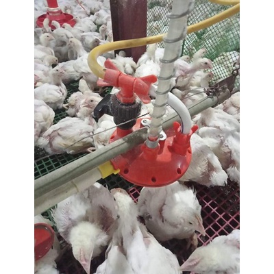 ชุดให้อาหารสัตว์ปีกสัตว์ปีกสัตว์ปีกระบบฟาร์มสายน้ําแรงดันน้ําความดันอัตโนมัติควบคุมวาล์วเจ้าชู้ควบคุมไก่เป็ดอุปกรณ์ให้อาหาร - รูปที่ 2