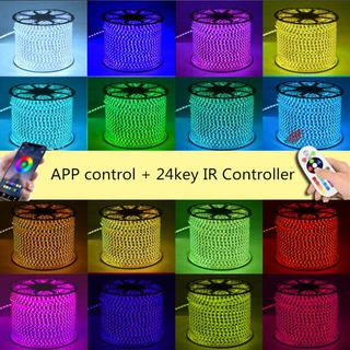 บ้านรสชาติ220โวลต์หลอดไฟLED Strip RGB บลูทู ธ IP67 ไฟ LED เทปยืดหยุ่นกันน้ำ 60led/M พร้อมปลั๊ก ไฟเส้น ไฟตกแต่งห้