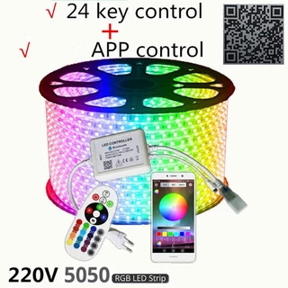 บ้านรสชาติ220โวลต์หลอดไฟLED Strip RGB บลูทู ธ IP67 ไฟ LED เทปยืดหยุ่นกันน้ำ 60led/M พร้อมปลั๊ก ไฟเส้น ไฟตกแต่งห้