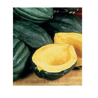 เมล็ด Table Queen Acorn Squash 10-40 Seed Bush Winter Heirloom สวนผลไม้ที่สวยงาม ง่าย