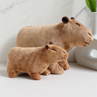 Capybara ตุ๊กตาการ์ตูนหนู Capybara ของขวัญสําหรับเด็ก