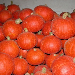 Green Healthy Red Lovely Sweet Delicious Sweet Pumpkin Seed ,Happy Farm-winter squash ,Color packaging seeds-about 8part