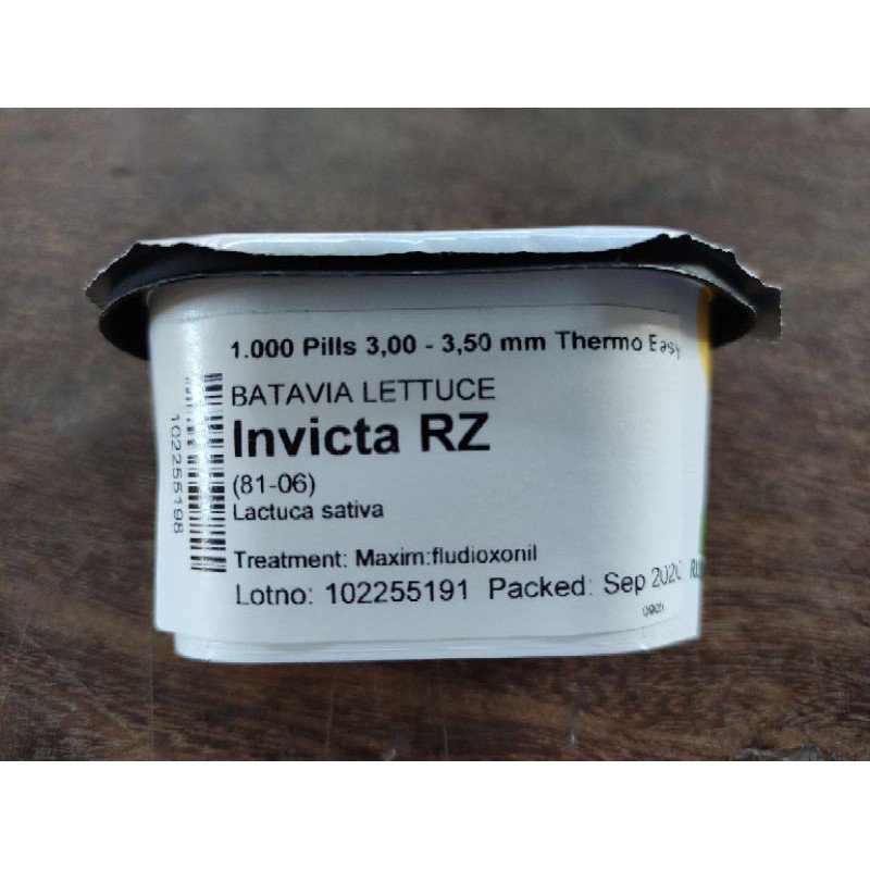 RIJK ZWAAN Invicta RZ 1000 Pills (ผักกาดหอมแบตาเวีย) Z4KE