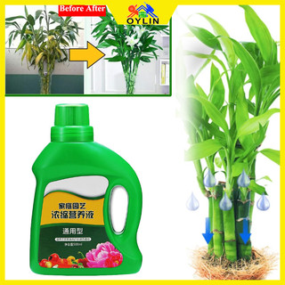 Plant Growth Promoter Hydroponic Nutrient Solution Liquid for Plants High Quality High-Efficiency