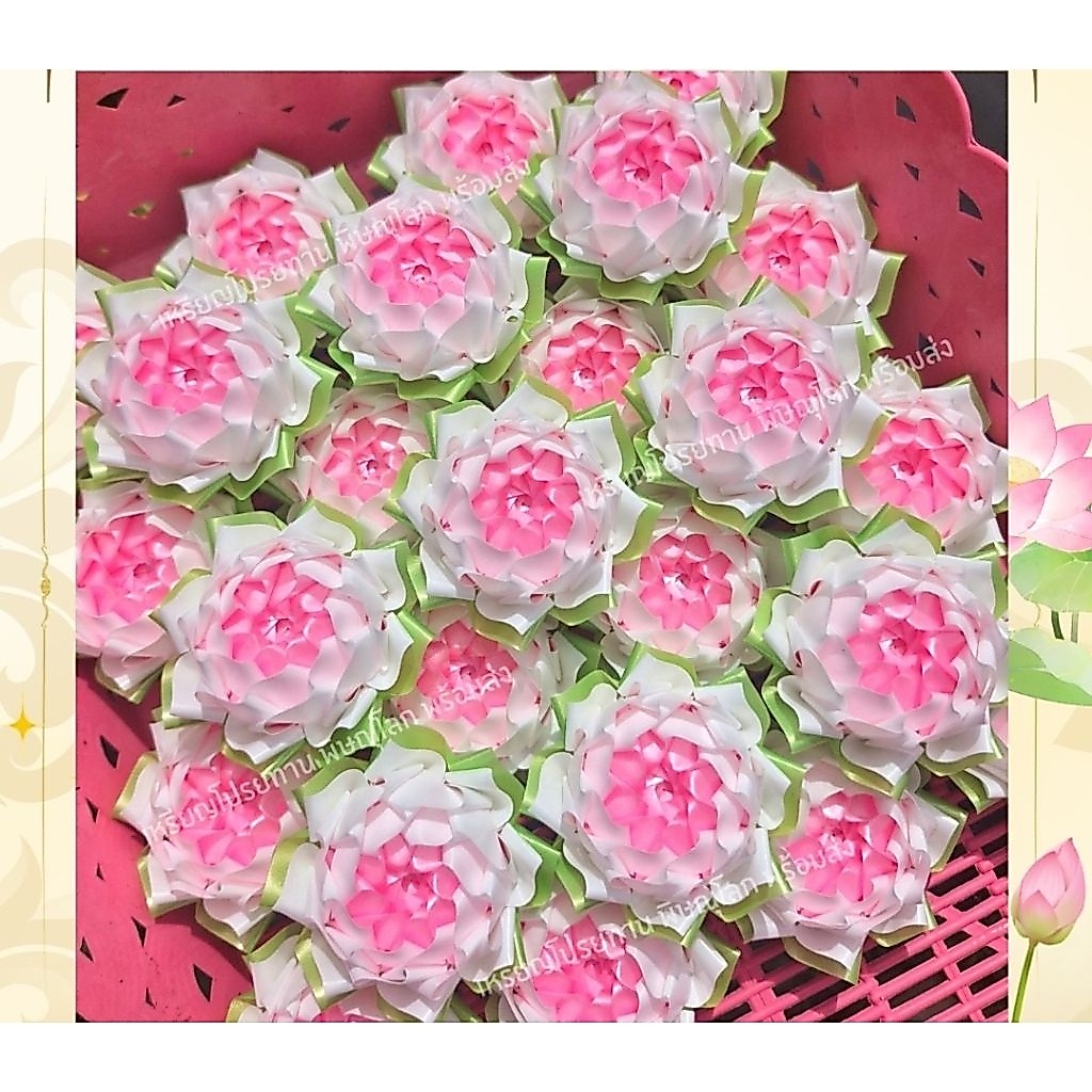พร้อมส่ง!โปรยทานดอกบัวทิพย์สีขาว/ชมพู แพค 20ชิ้น ตัวเปล่า