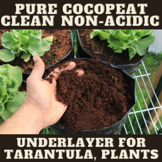 CocoPeat Naturals per takal Planting Good Quality | Clean | Pure Coconut Husk