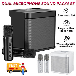 TQTQ Bluetooth Karaoke 5.0 Home KTV Portable Mini Wireless  3D Stereo Dual Microphone Speaker Ys-203