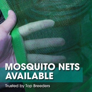 1 Roll BILARAN NG PALAY SHADED MOSQUITO NET BAGSAK PRESYO