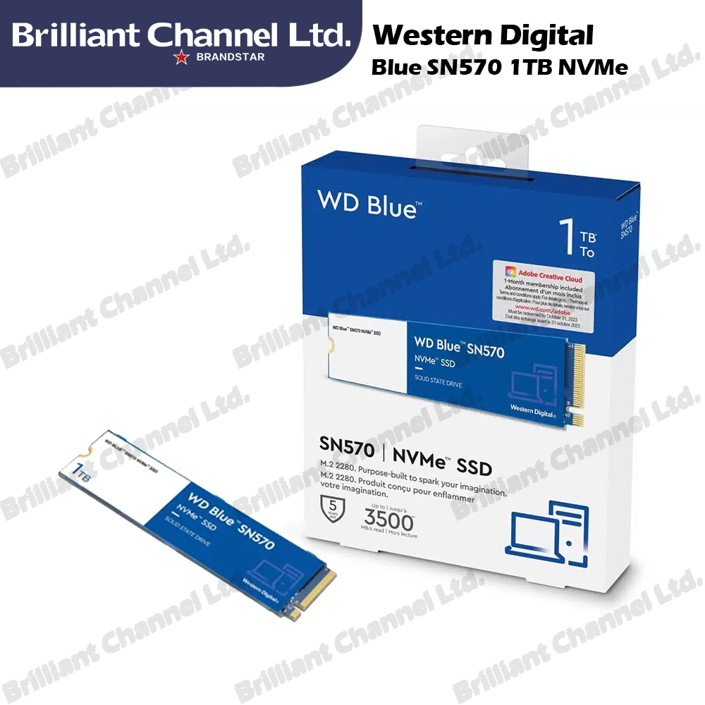 Western Digital 1TB WD Blue SN570 NVMe Internal Solid State Drive SSD M.2