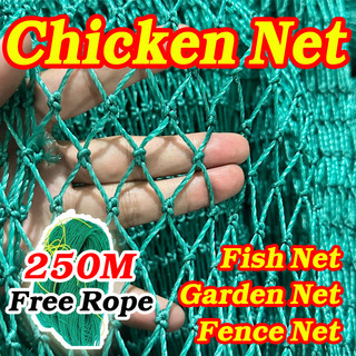 【Shipped today】50M/100M Chicken Net Range Net for Chicken Lambat Outdoor Poultry Net Ranging Net