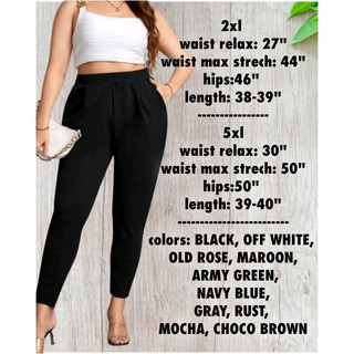 PLUS SIZE SKINNY PANTS