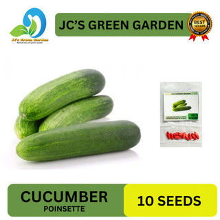 (10 SEEDS) CUCUMBER SEEDS/POINSETTE F1/FOR PLANTING/HIGH YIELDING