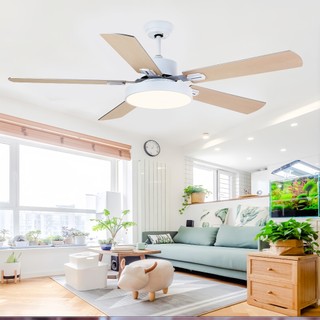 COD LED Tricolor With Remoter 5 blades Ceiling fan light 42/48 inches Ceiling fan With light