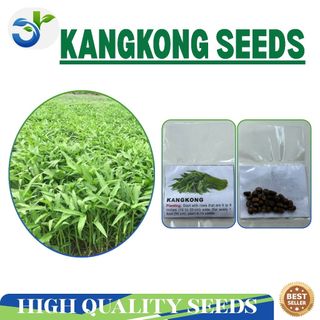 Upland Kangkong / Chinese / 25seeds - (1pack)