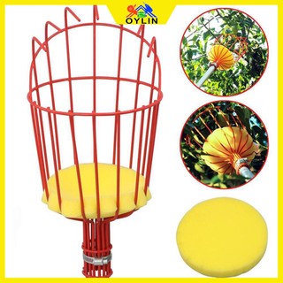 Fruit Picker Tool with Basket Height Adjustable Fruits Catcher Tree Picker for Getting Fruits
