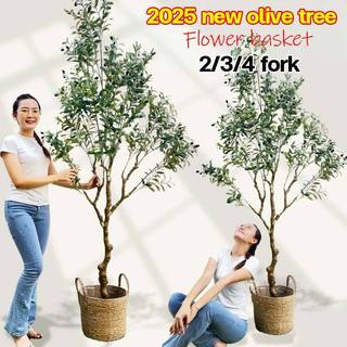 【2026 new style】Artificial Olive Tree Plant 4/5/6FT Big Size Fake Plants Indoor Home Decoration