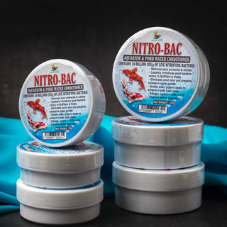 Nitro-Bac Pond Water Conditioner by Noah Aquatics | Nitrifying | Nitrobiotix | Nitrobac