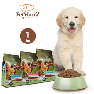 PetMarra Puppy / Adult Dog Dry Food Beef Milk and Chicken Flavor 1kg Collection puppies dogs kibble