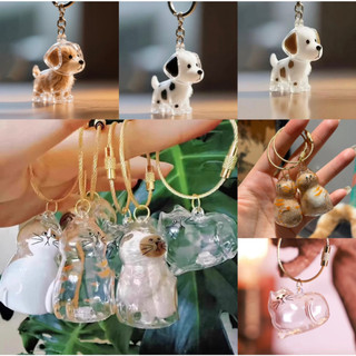 Cat and dog transparent hair storage box cute animal hair ball capsule pendant