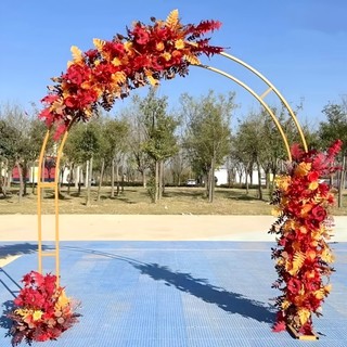 Wedding Props Wrought Iron Double Pole Arch Shelf Stage Layout Runway Wedding Scene Decoration