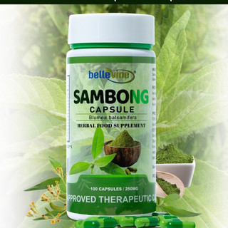 Bellevine Sambong Capsule Herbal Supplement 250mg 100 Capsules for Kidney Health, Antioxidant, Detox