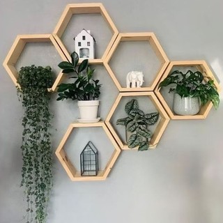 NO DRILL SELF-ADHESIVE Easy to install DIY Honeycomb Wall Decor, Hexagon Frame, Plant Shelf