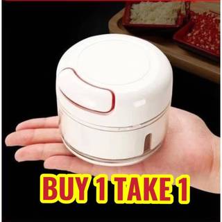 BUY 1 TAKE 1 Mini Food Chopper Hand Pull Garlic Grinder Onion Ginger Masher Shredder Vegetable