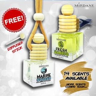 Hanging Diffuser Oil Based Scents Car Air Freshener Car Perfume Car Scents
