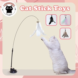 Cat Teaser Interactive Cat Toys Feather Wand with Suction Cup Retractable Pet Toys for Indoor Kitten