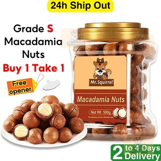 Mr Squirrel 500g Roasted Pure Macadamia Nuts Healthy Food Rich Nutrition Ready to Eat of Nuts
