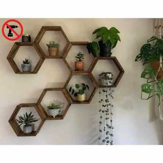 NO DRILL Honeycomb Wall Decor, Hexagon Frame, Hanging Frame, Plant Shelf, Hexagon Wall Decor