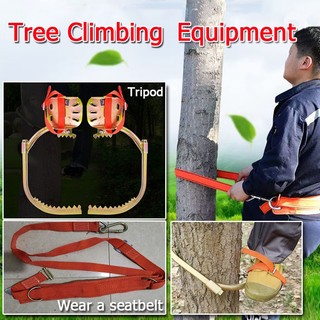 Foot Buckle Tree Climbing Tool for Tree Climbing, Specialized Tool for Picking Coconut Trees