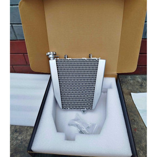 PROTAPER BIG RADIATOR FOR: WINNER X / RS150 / GTR150