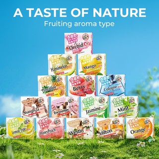 100% TOP HOME PH 230g Air Freshener Long Lasting Fragrance Car Home Balm Perfume Deodorizing U-260
