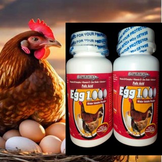 Egg 1000 Breeding Animals Chicken Birds Pigeon Egg Booster