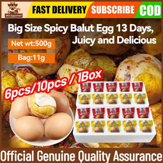Mr.Squirrel Healthy Foods Balut Egg Salted Spicy Balot Egg Flavors Eggs Wholesale Ready-To-Eat