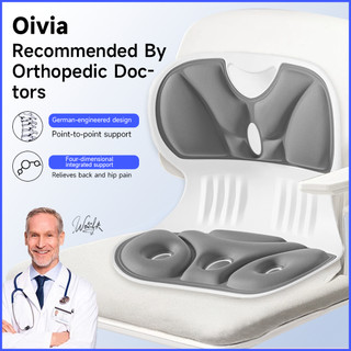 Oivia Posture Corrector Chair Back Support For Chair Cushion Curable Chair Office Chair Cushion