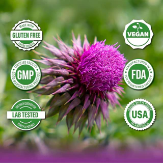 Milk Thistle Pills 50:1 Extract ช่วยเสริมประสิทธิภาพการล้างสารพิษและส่งเสริมสุขภาพตับ สนับสนุนการช่วยเหลือ