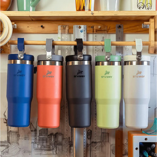 30oz Double Wall Straw Tumbler Leak Proof Vacuum Cup Thermos Water Bottle Stainless Steel