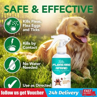 Flea and Tick Remover for Dog and Cat Anti Garapata Remover for Dog Garapata Killer Spray